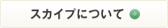 �X�J�C�v�ɂ���